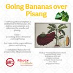 Chakap Masak: Going Bananas Over Pisang