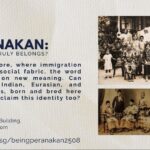 Being Peranakan: Who Truly Belongs?